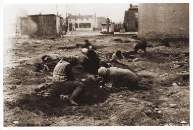 Scavenging for food or fuel